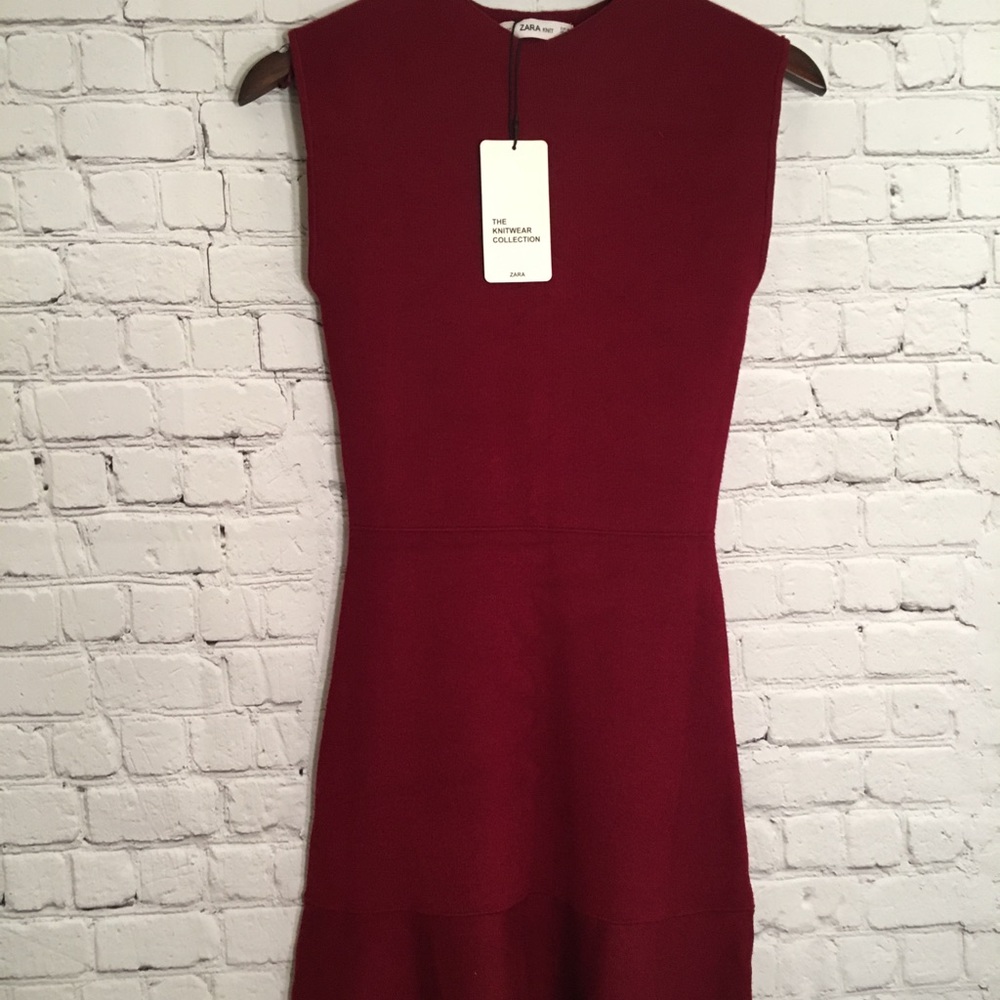 Zara Knit Dress